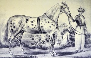 Een Correcte Gelijkenis van Mr H Rockwells Paard Alexander, Bowery Amphitheatre, New York 17 Maart 1840 door N. and Ives, J.M. Currier